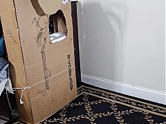 The wife decided to make her own gloryhole from a box, Watch what happened to her.